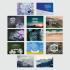 2024 Wall Calendar